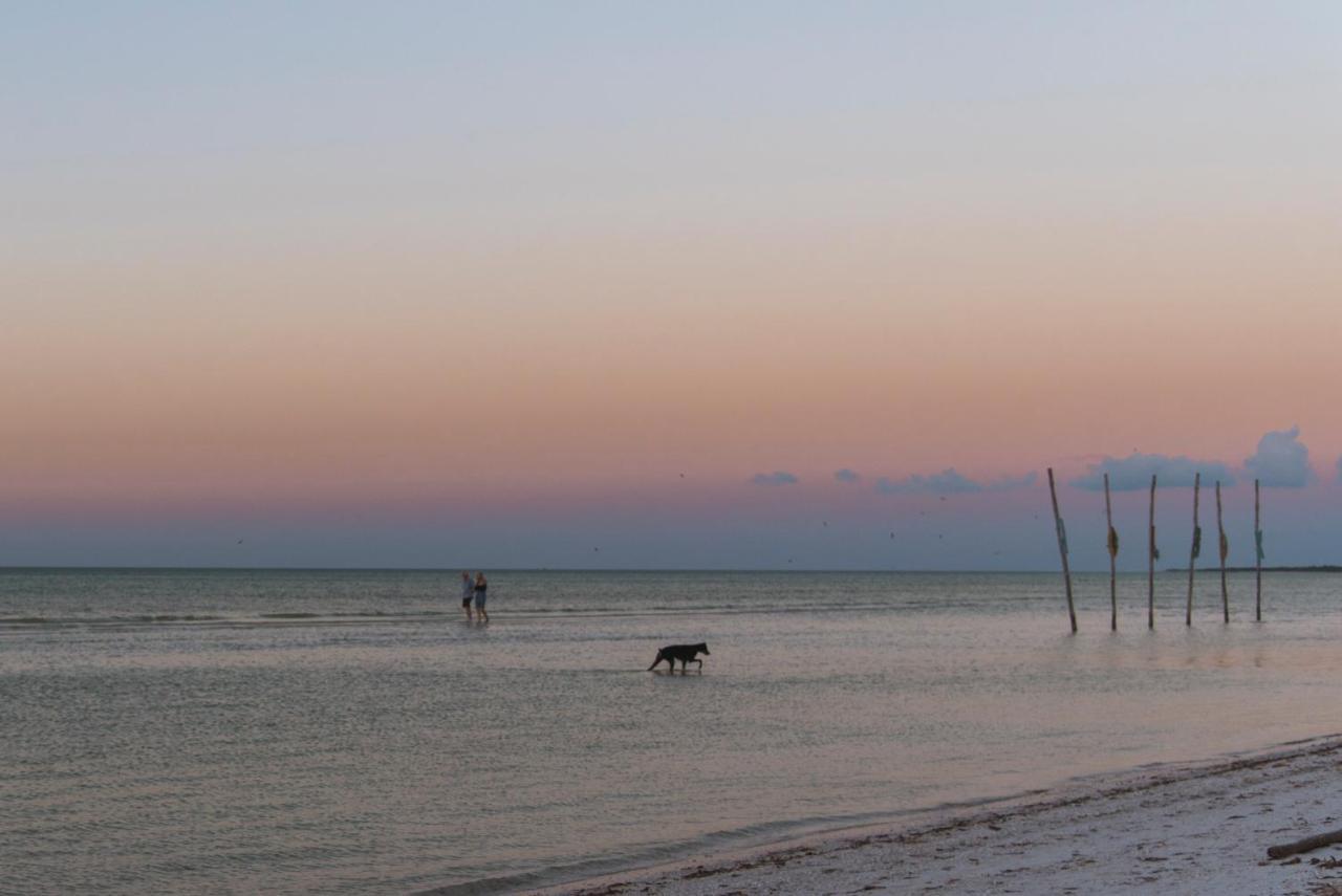 فندق Blue Holbox المظهر الخارجي الصورة