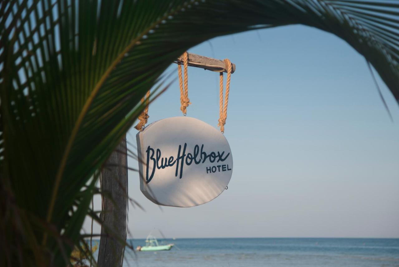فندق Blue Holbox المظهر الخارجي الصورة